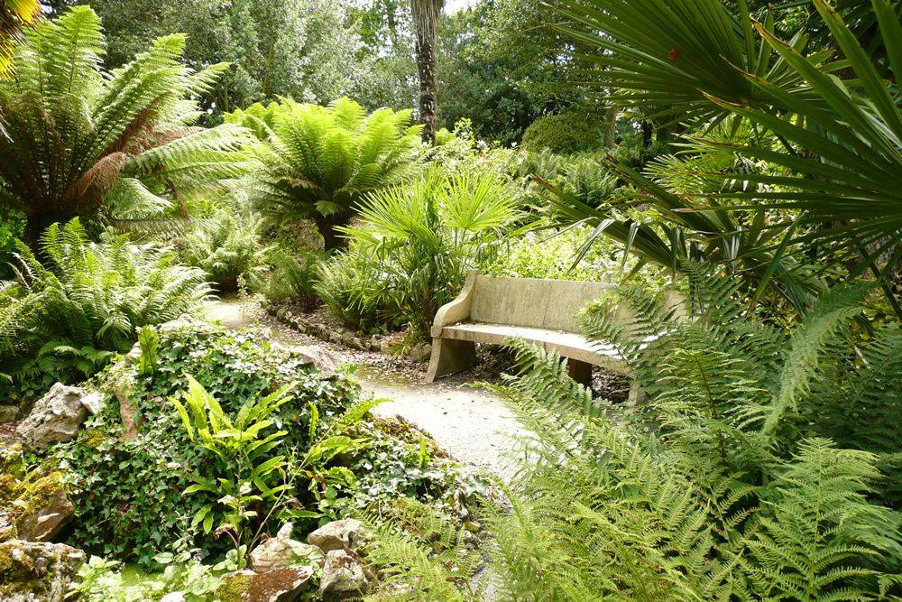 Beautiful Shade Garden