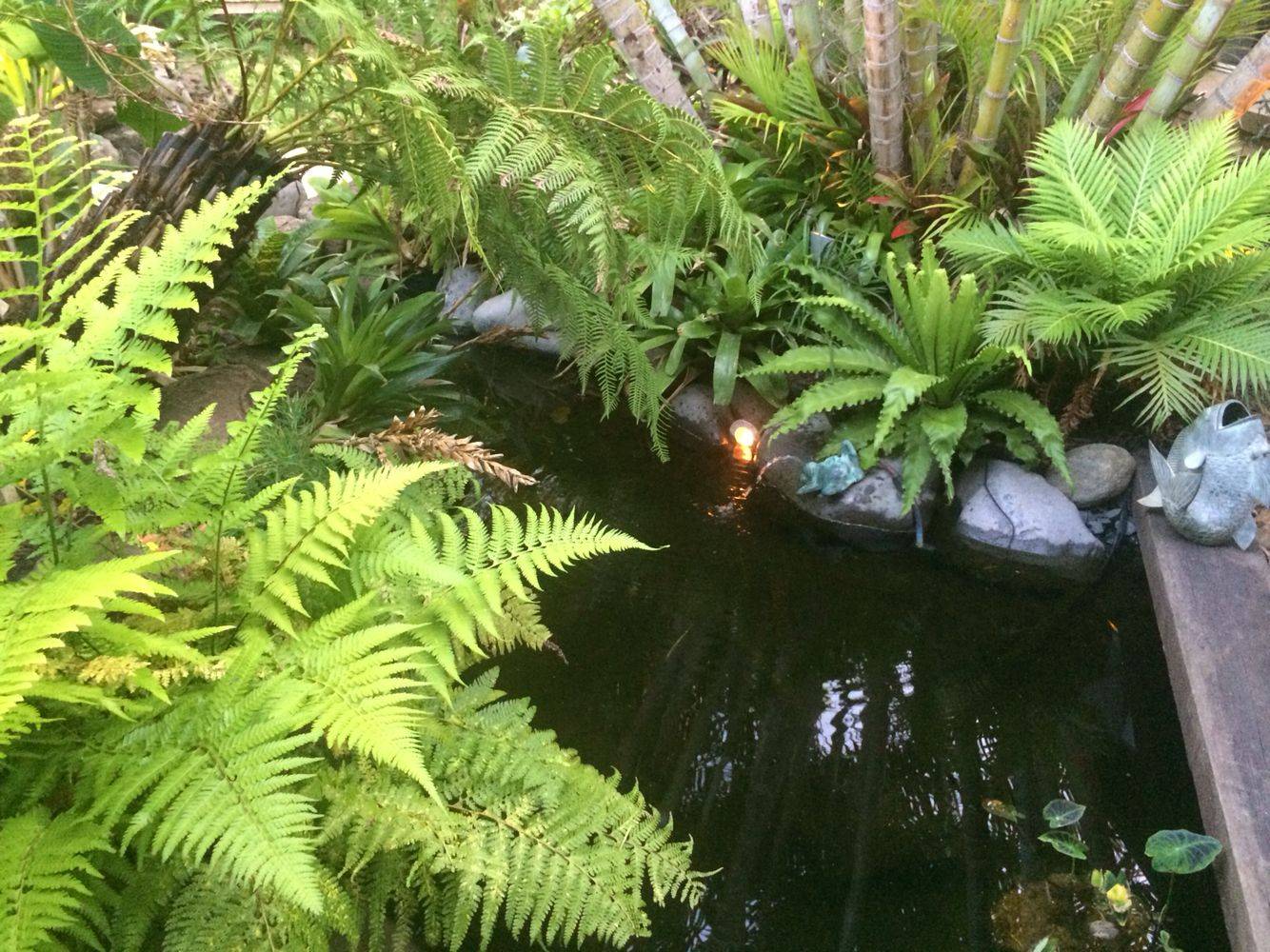 Garden Inspiration