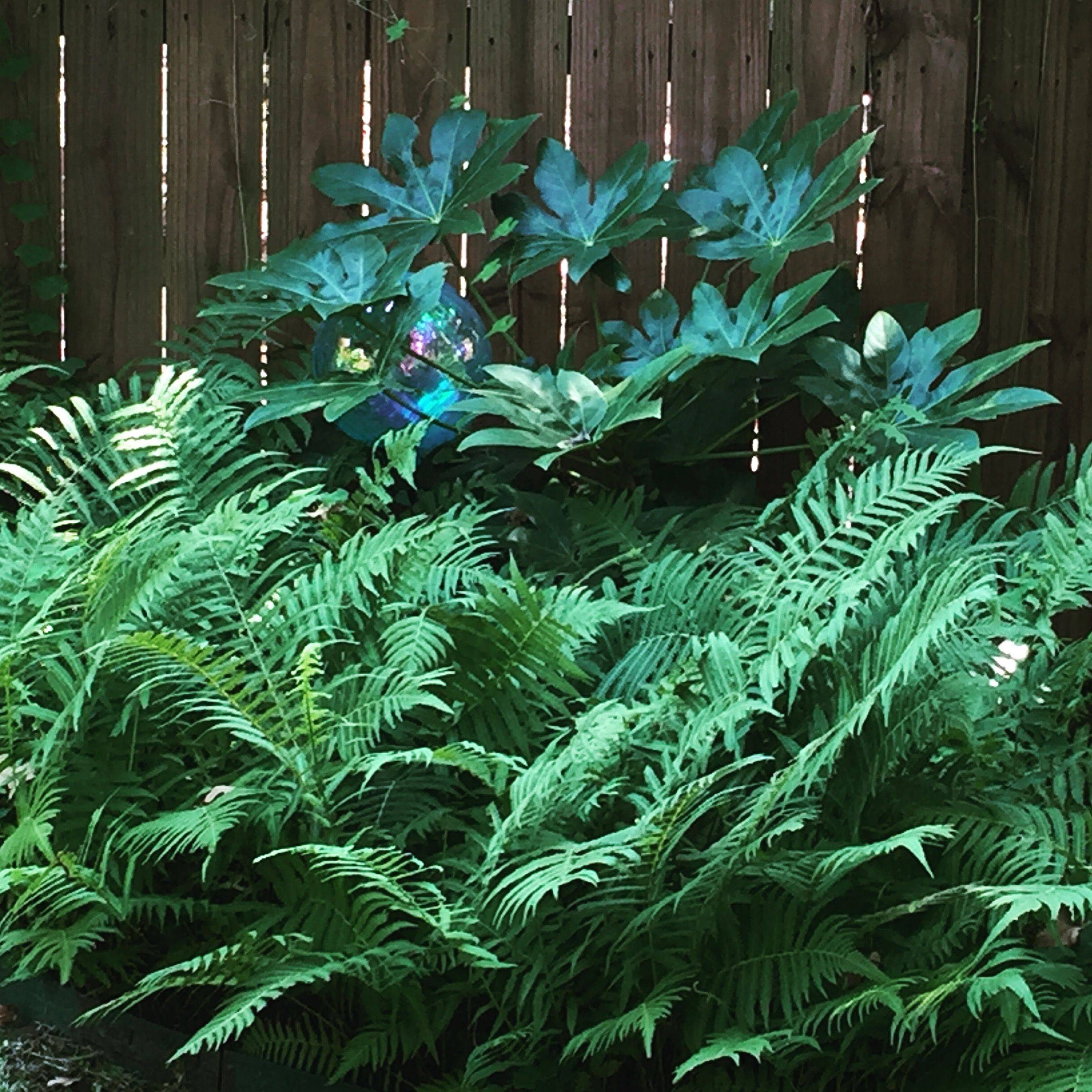 Cool Amazing Big Tree Landscaping Ideas