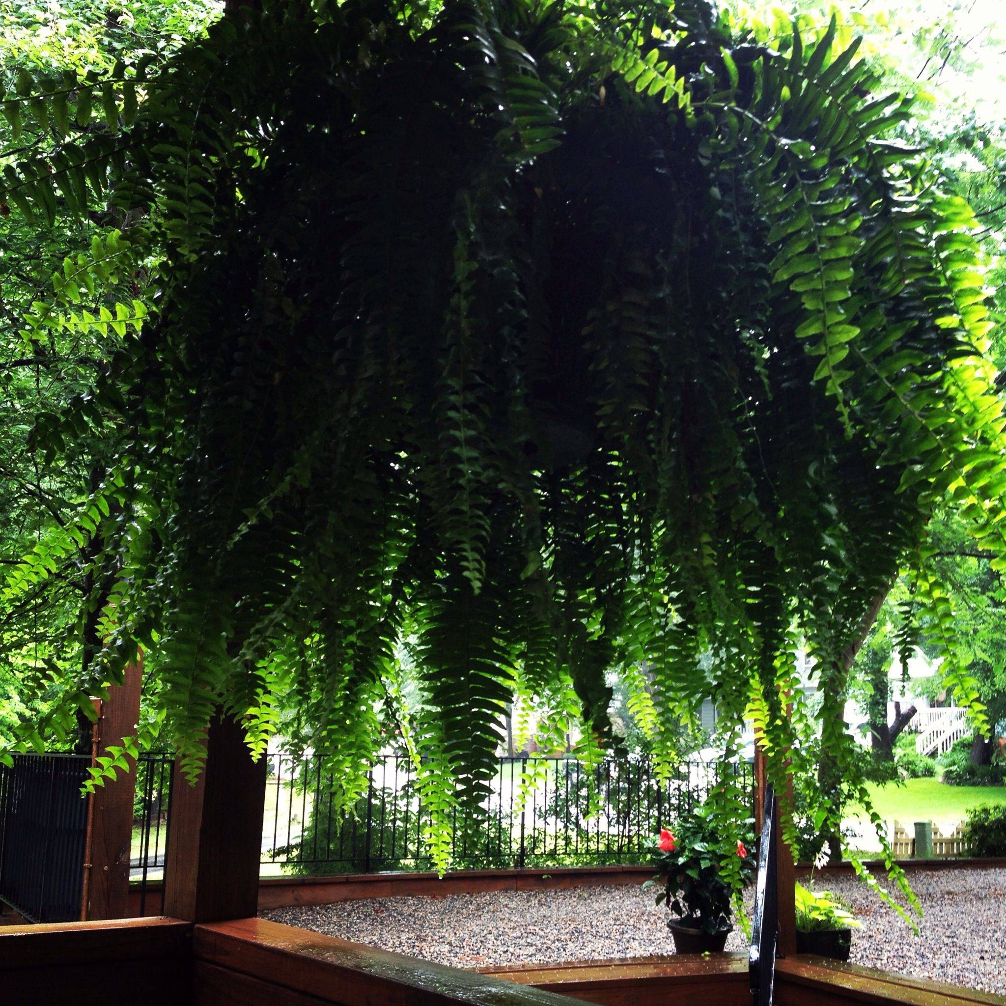 Beautiful Gardens