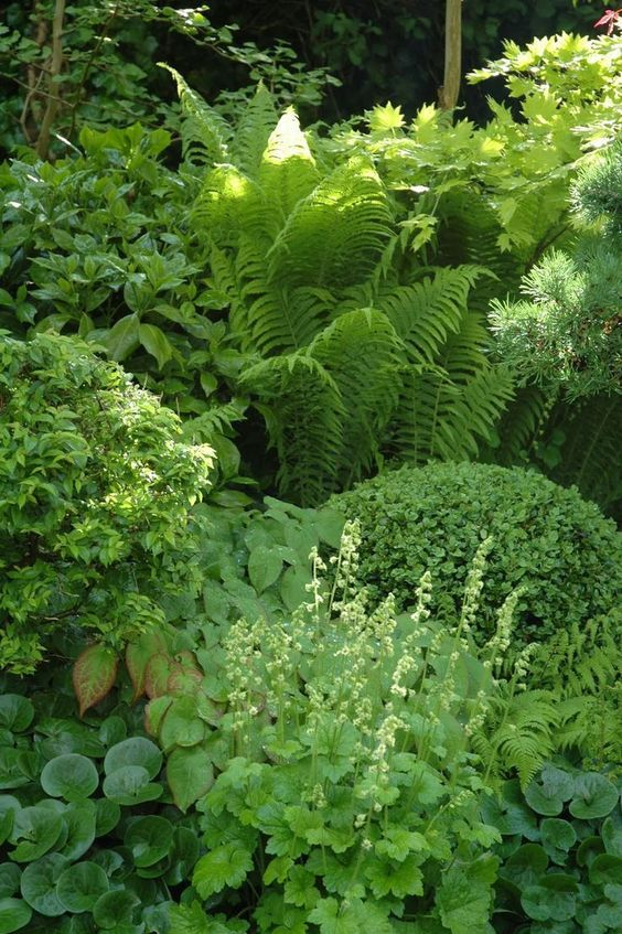 Garden Design