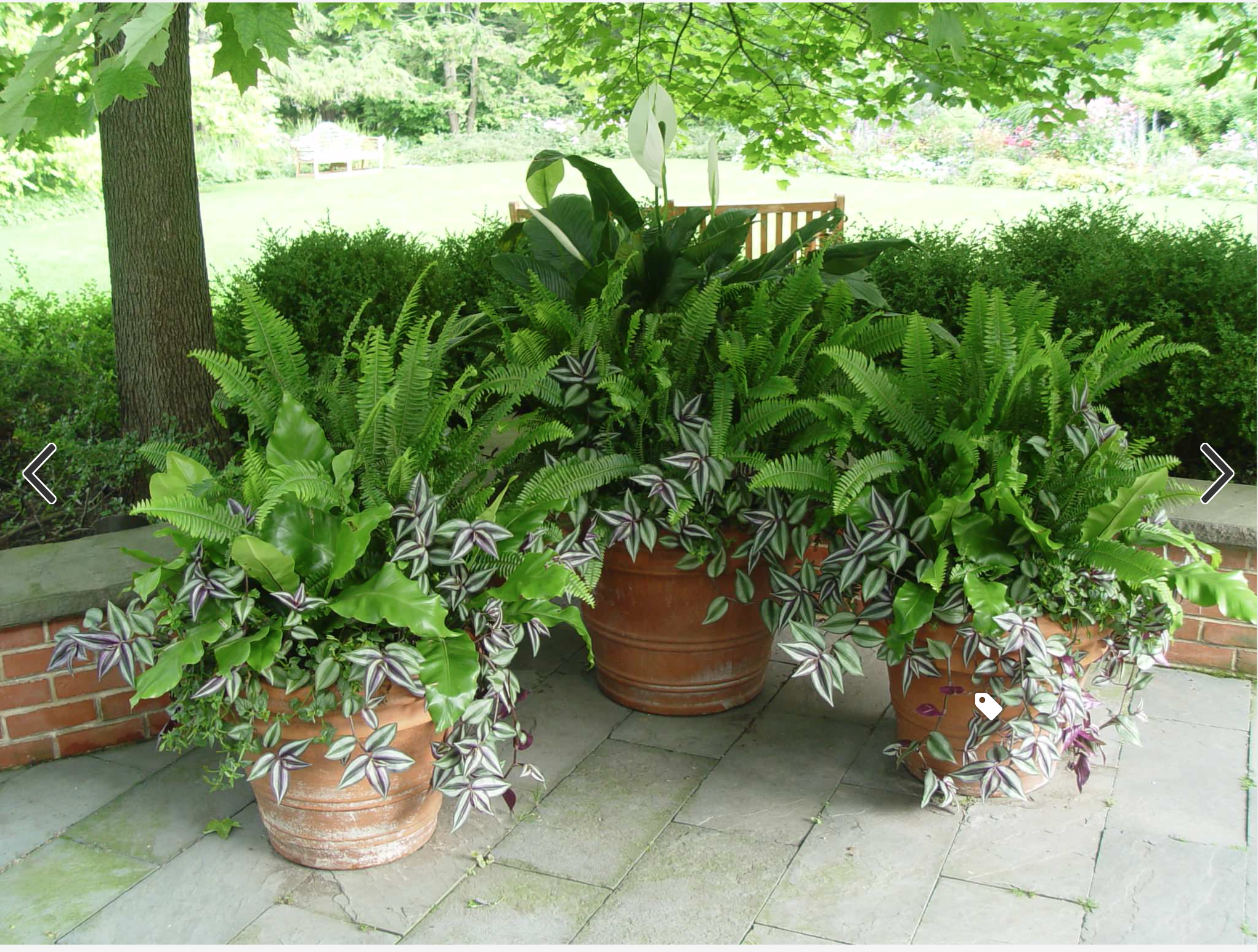 Beautiful Gardens