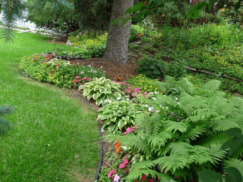 Shadow Board Shade Garden Design