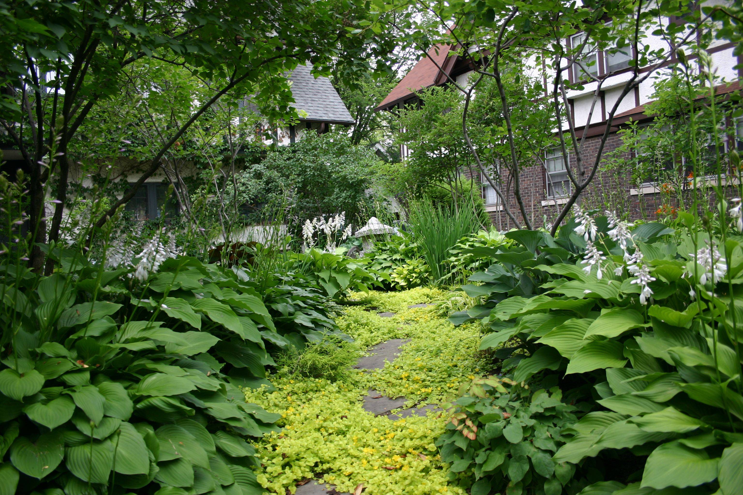 Deck Yard Ideas