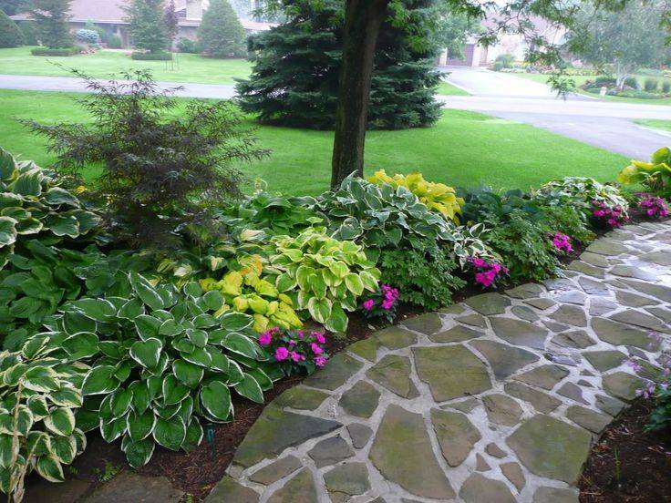 The Summer Front Yard Landscaping