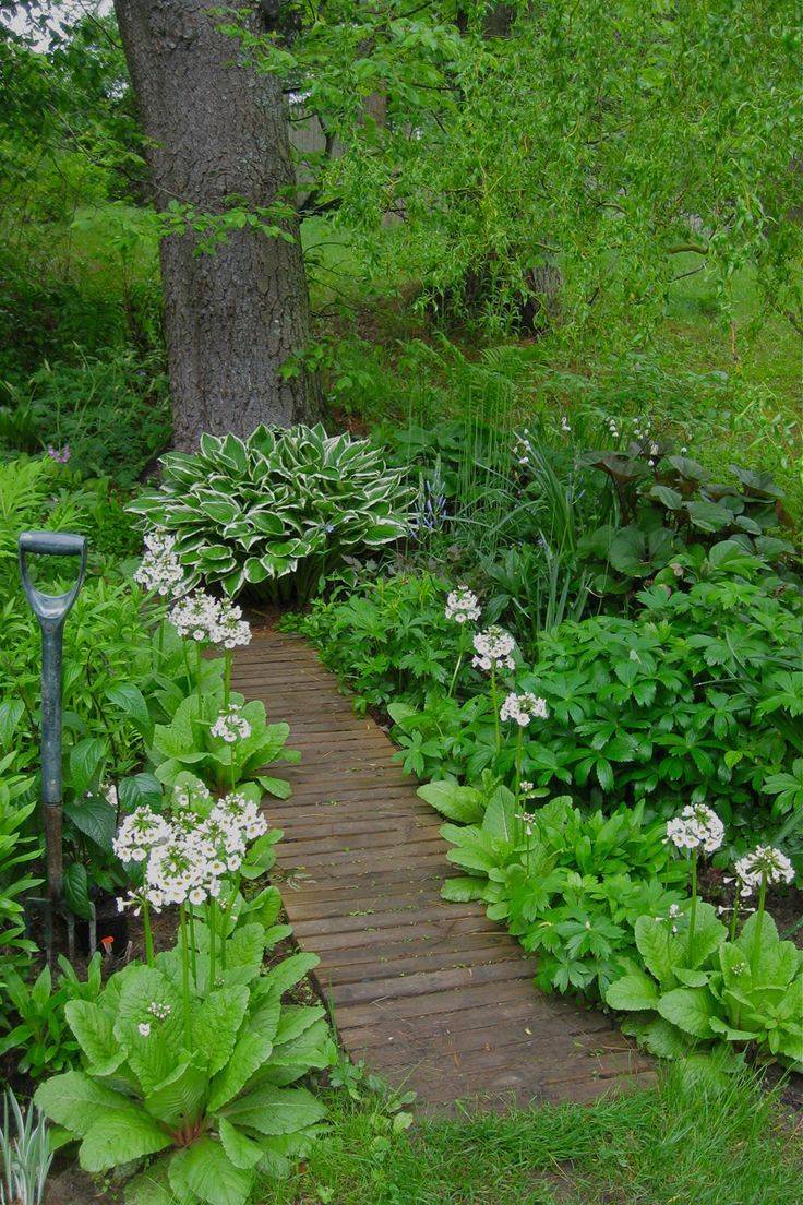 Gardens Shade Garden