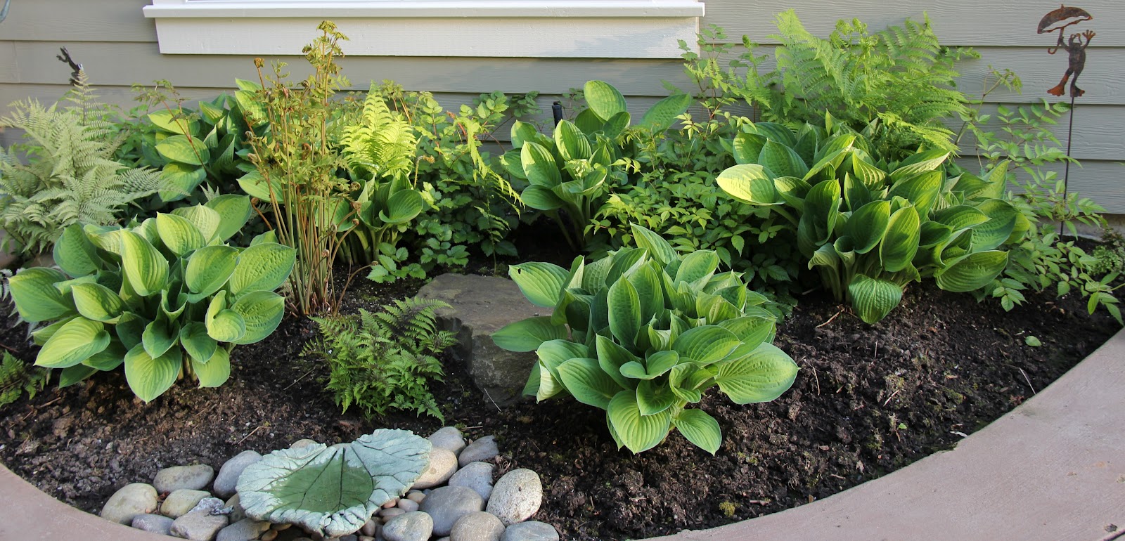 Hostas Ferns Shade Garden