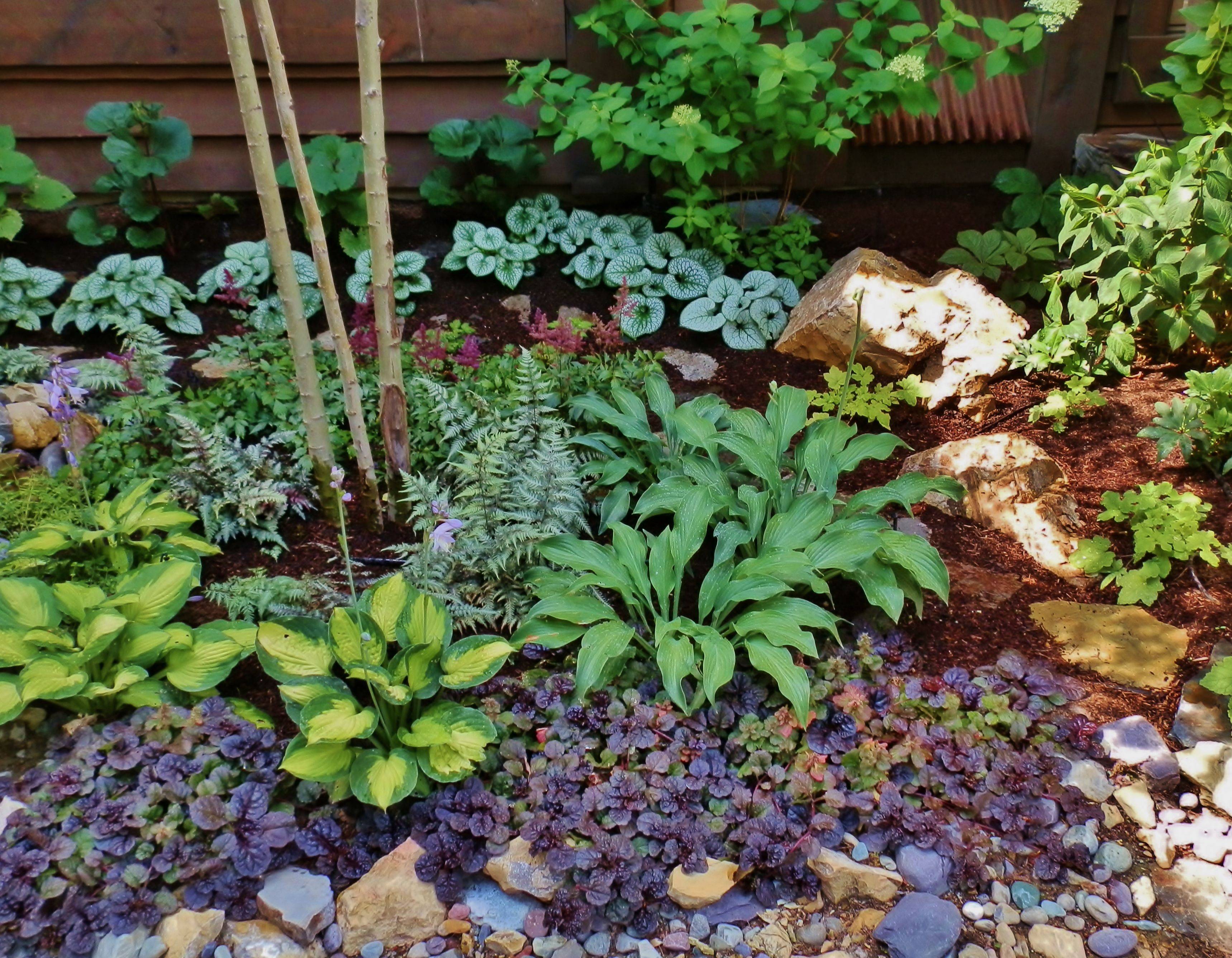 Almost Perfect Landscaping