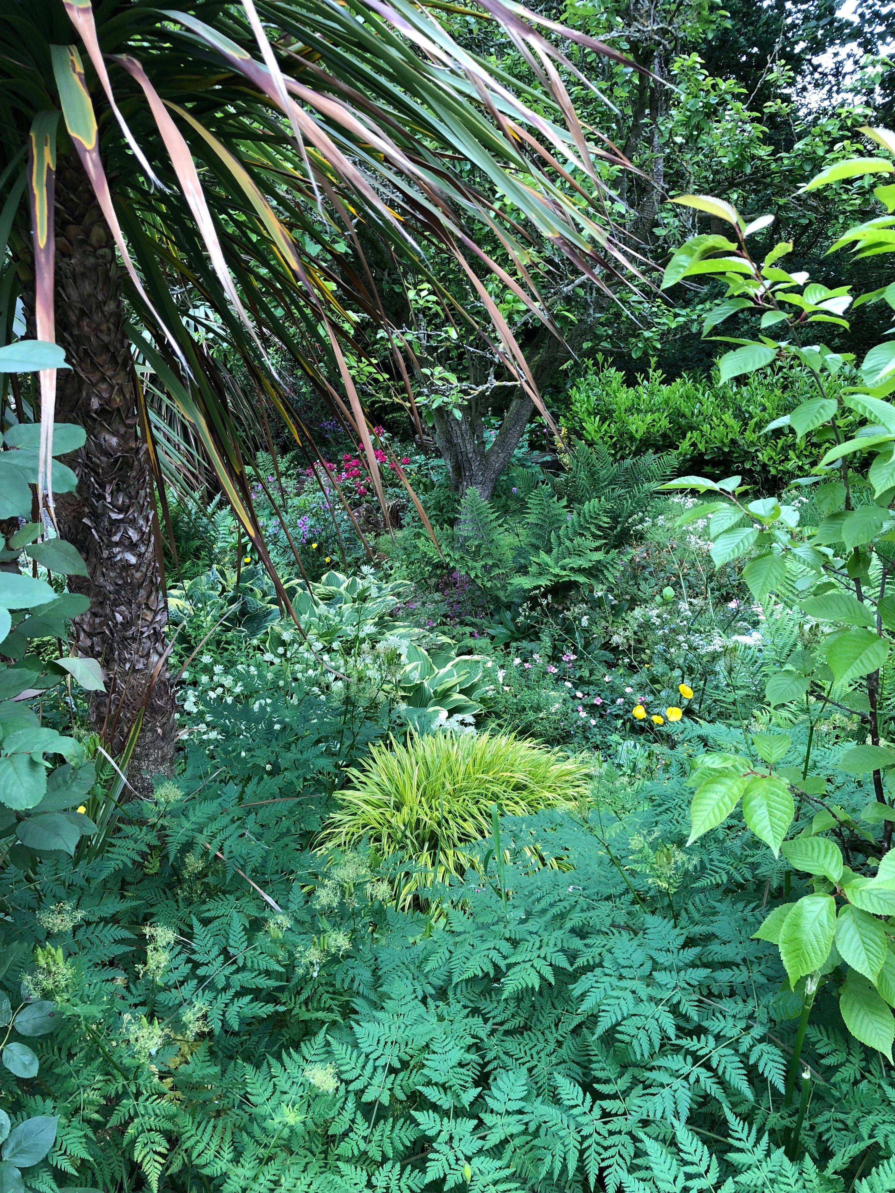 A Wonderful Shade Garden