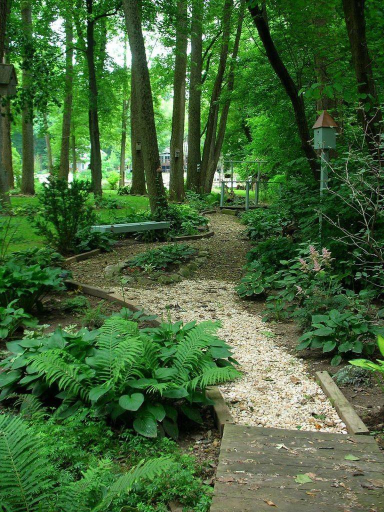 Our Woodland Garden Ideas
