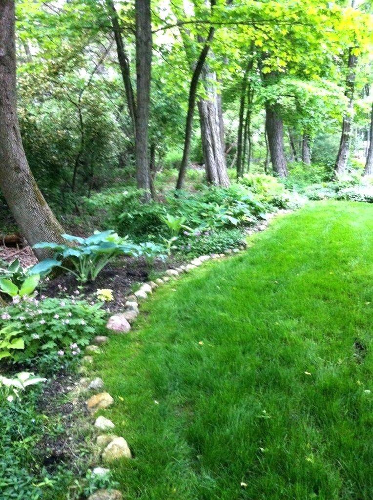 A Woodland Garden Google Search Garden Paths