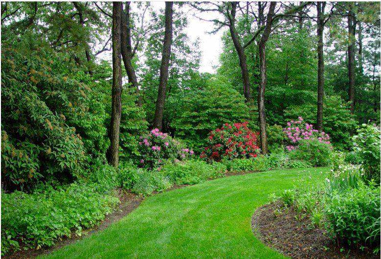 Beautiful Home Gardens