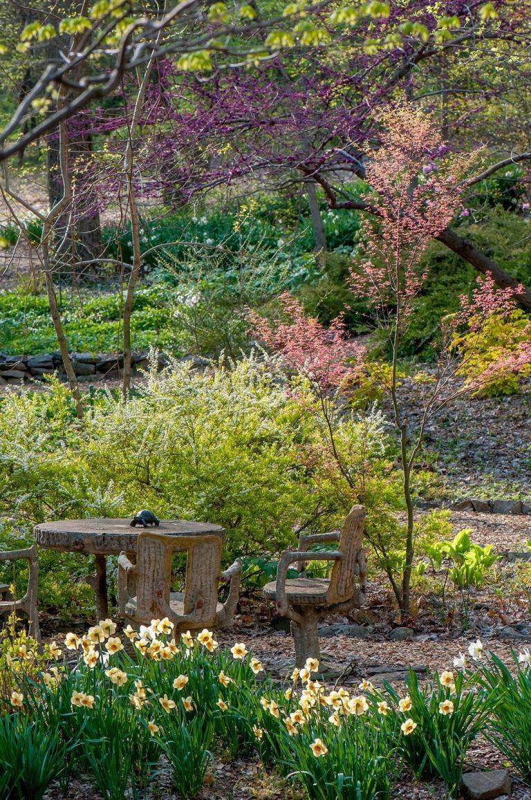 25 Woodland Border Garden Design Ideas You Cannot Miss SharonSable