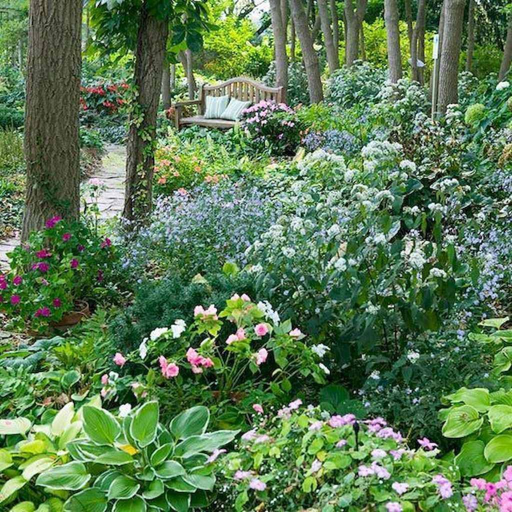 Shade Garden Woodland Plants