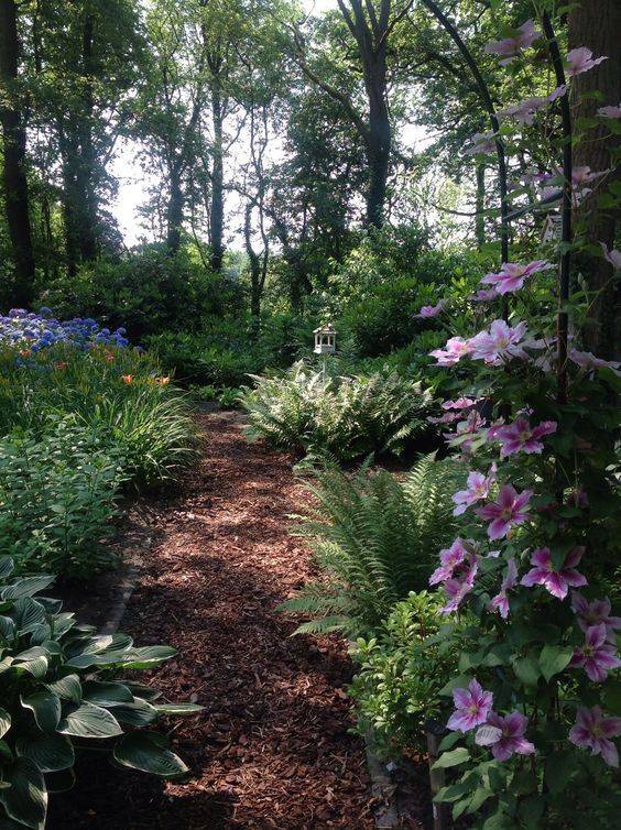 Woodland Garden Blues