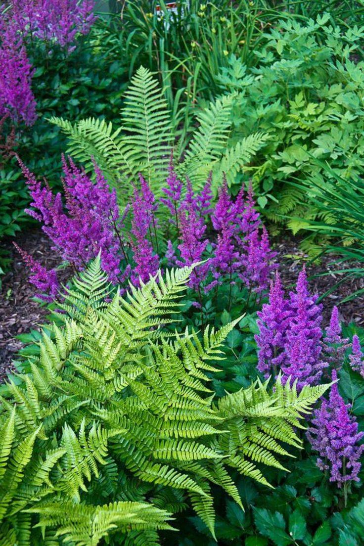 Cool Amazing Big Tree Landscaping Ideas
