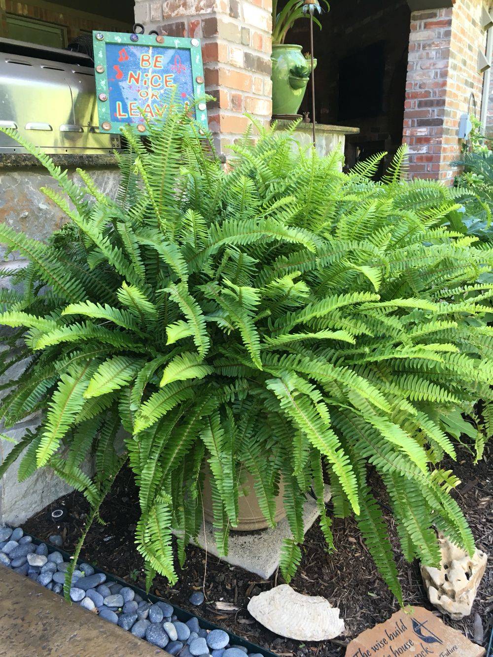 Shady Gardens Design Ideas Shade Garden Plants