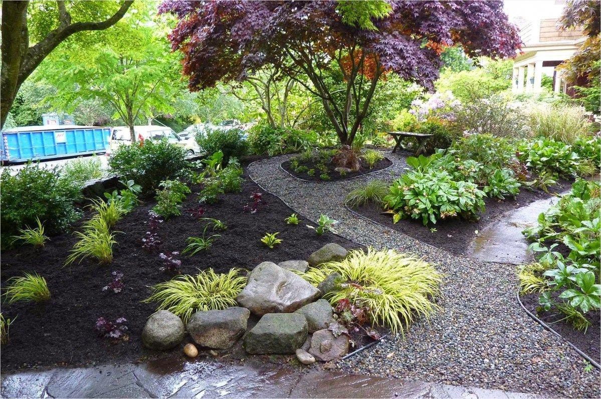 Expert Landscaping Design Tips Shade Landscaping Landscaping With
