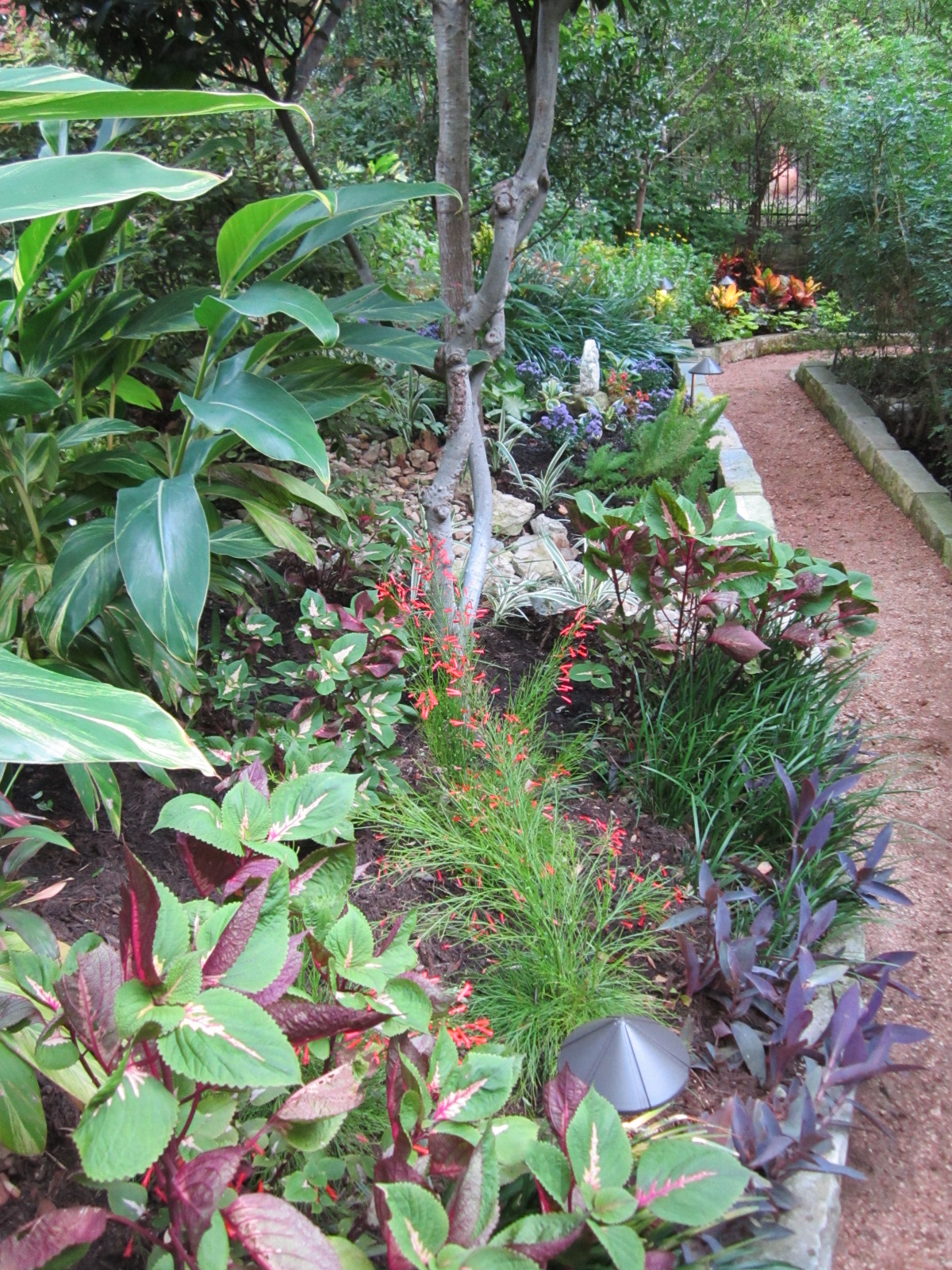 Shade Garden Plan Shade Garden
