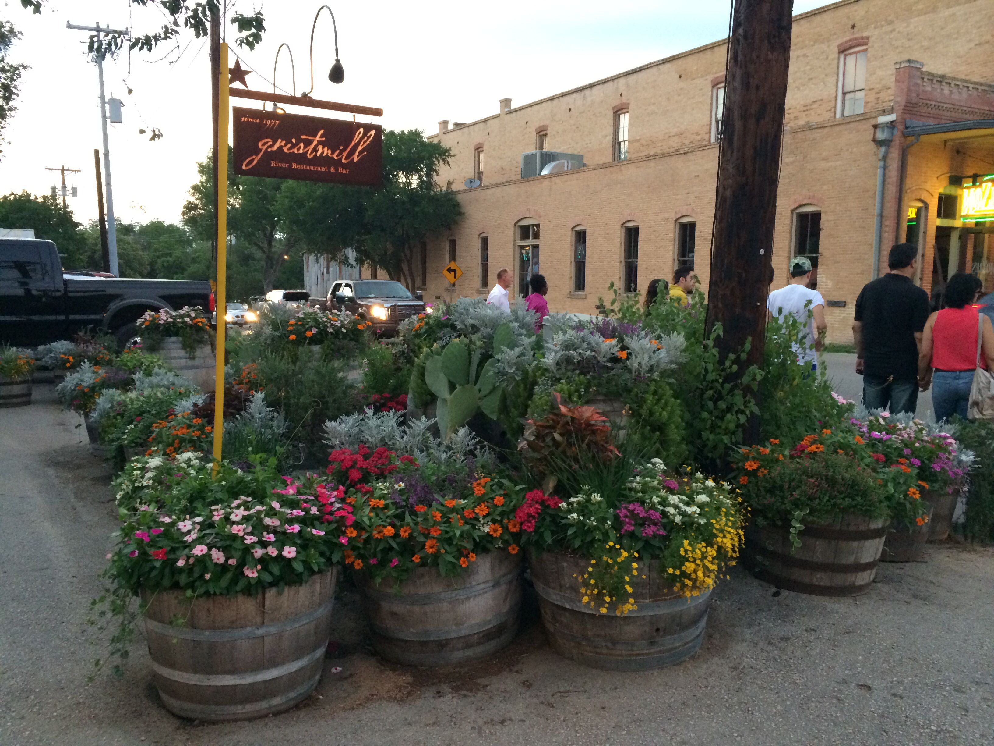 Shade Perennial Garden