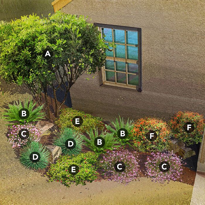 Texas Landscaping