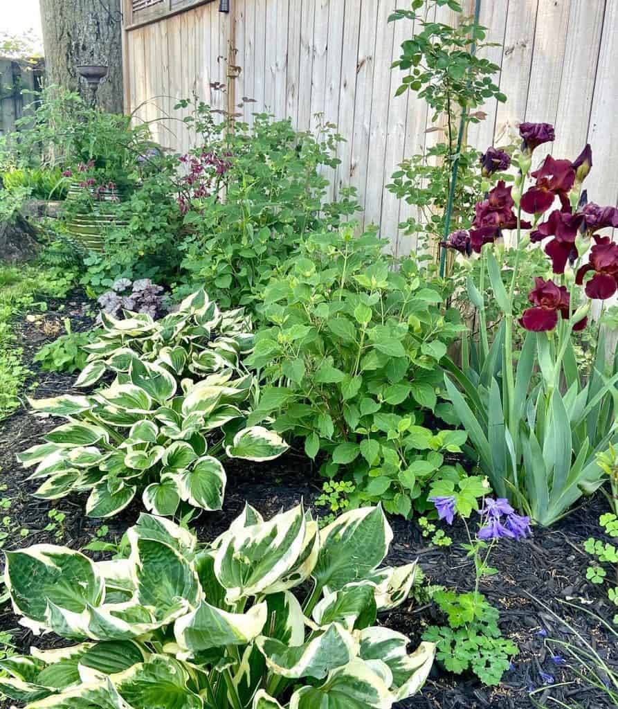 Excellent Shade Garden Design Ideas Page