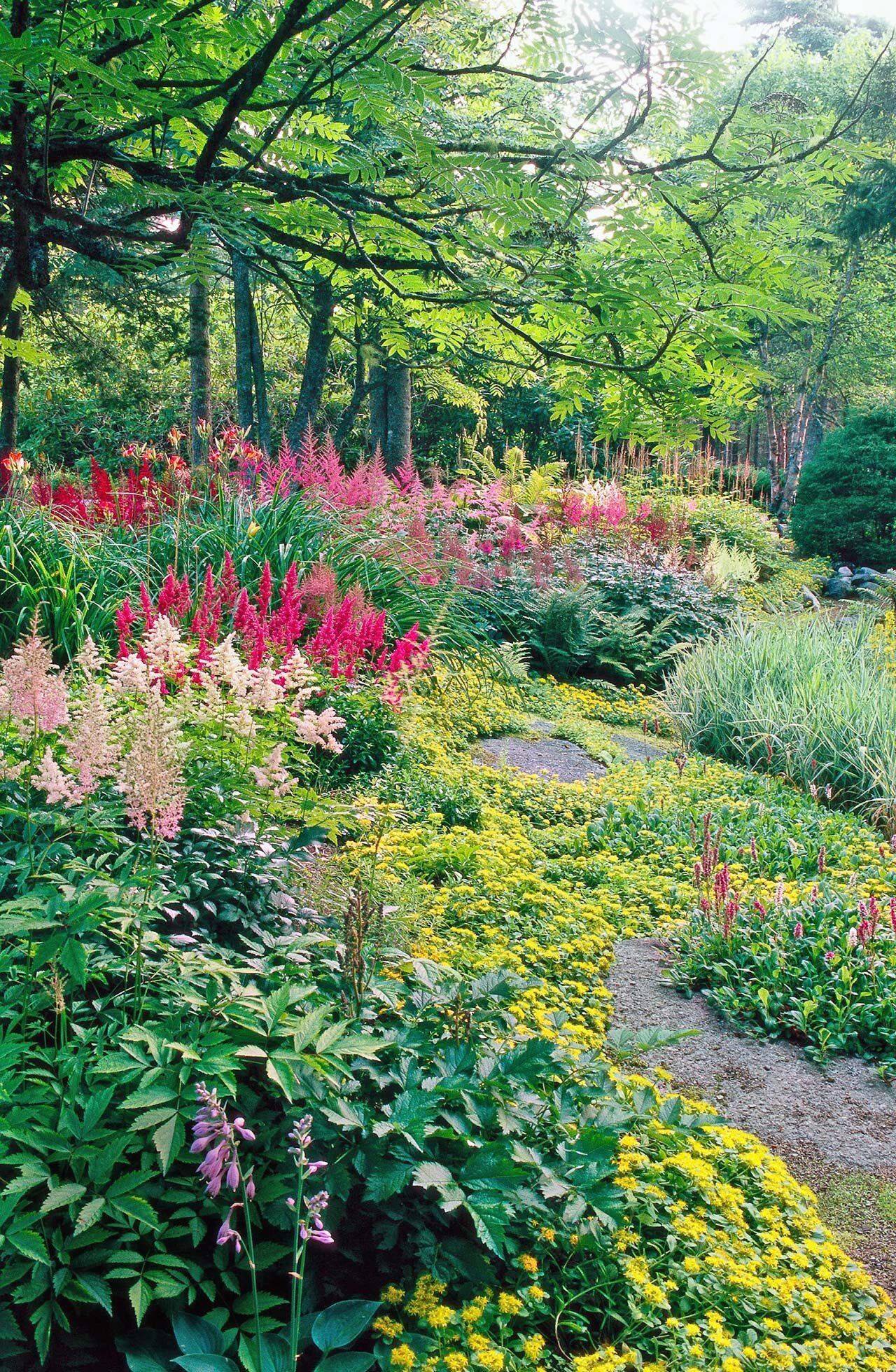 Shade Landscape Patio Small Flower Garden Design Designs Fascinating