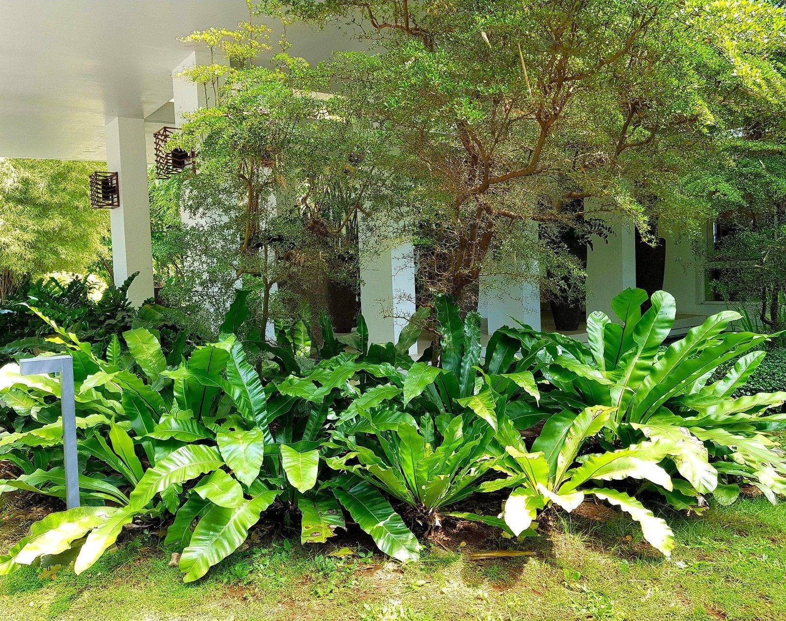 Gorgeous Gardens