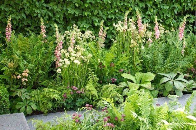 Gardeners Advice