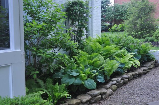 Hosta Companion Plant Thread Hosta Forum Gardenweb Outdoor