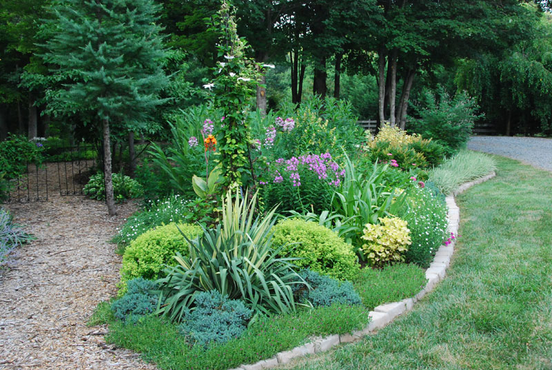 A Shady Border
