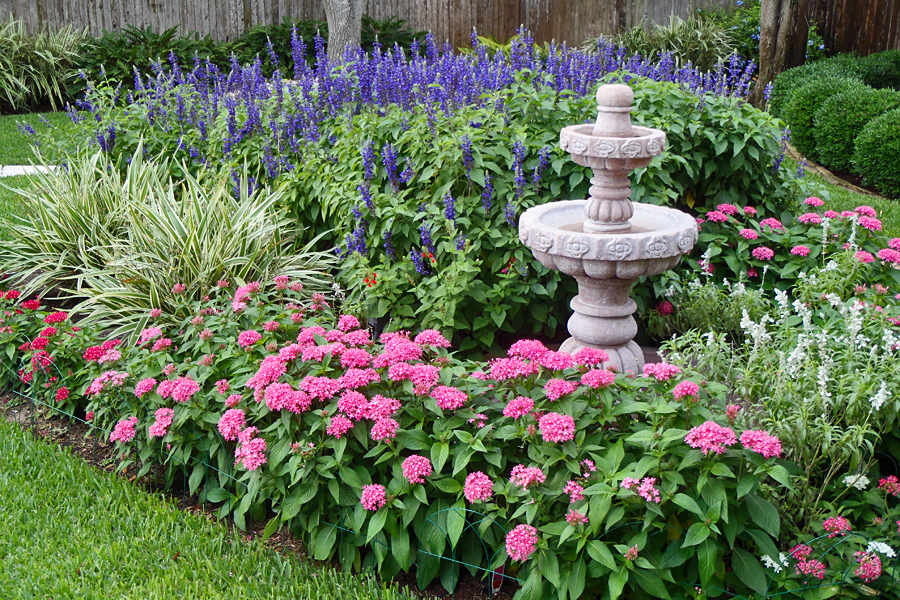 Every Plant Visual Interest