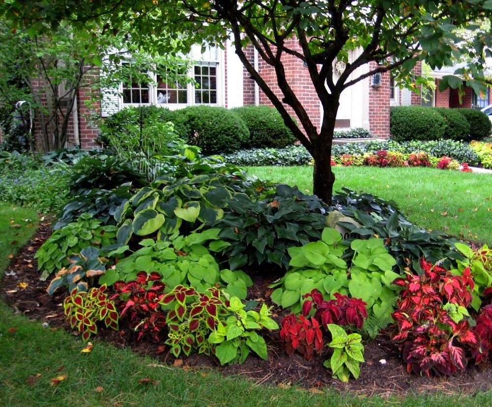Trendy Landscaping Ideas