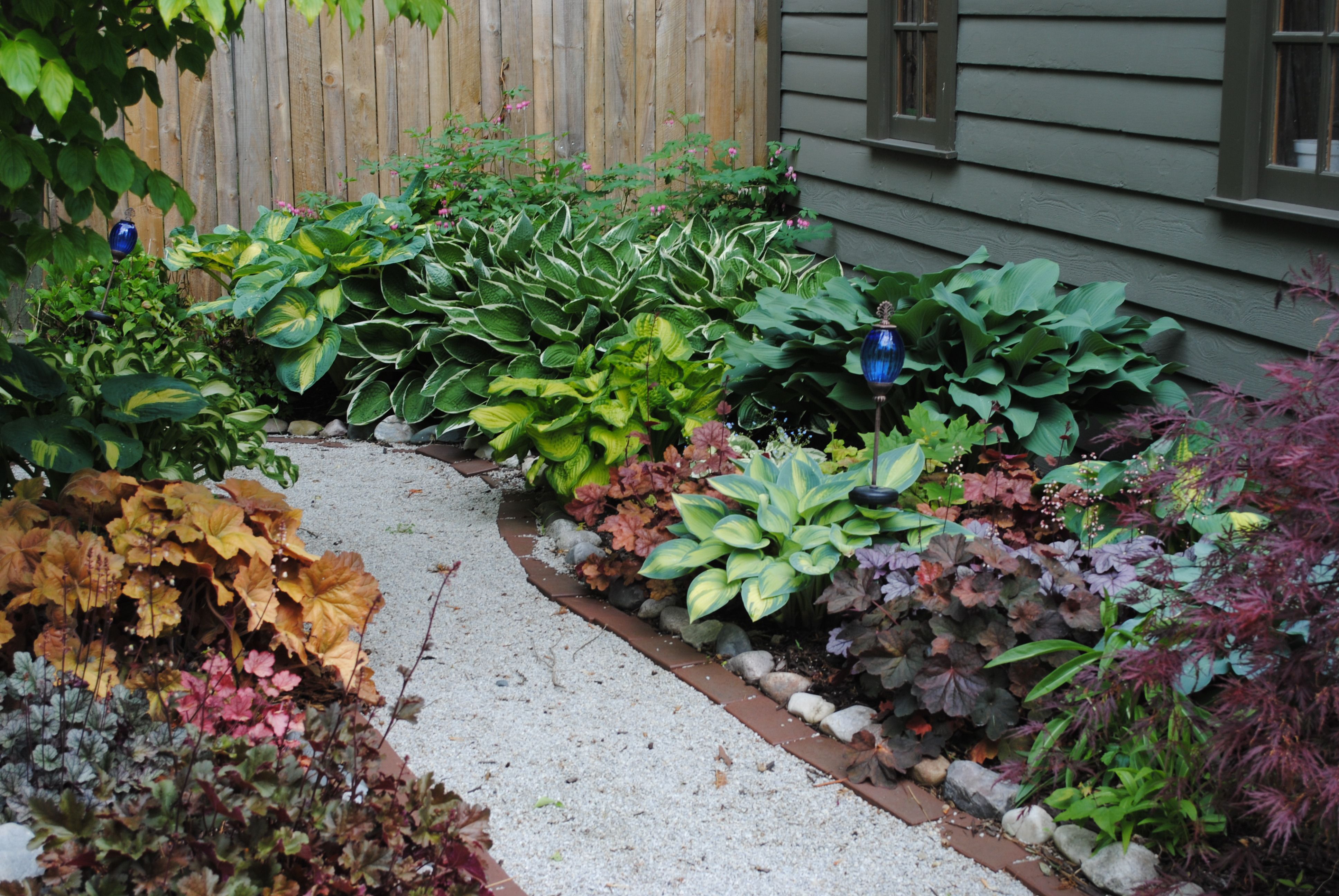 Hosta Garden