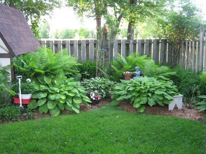 Shady Corner Landscaping Ideas