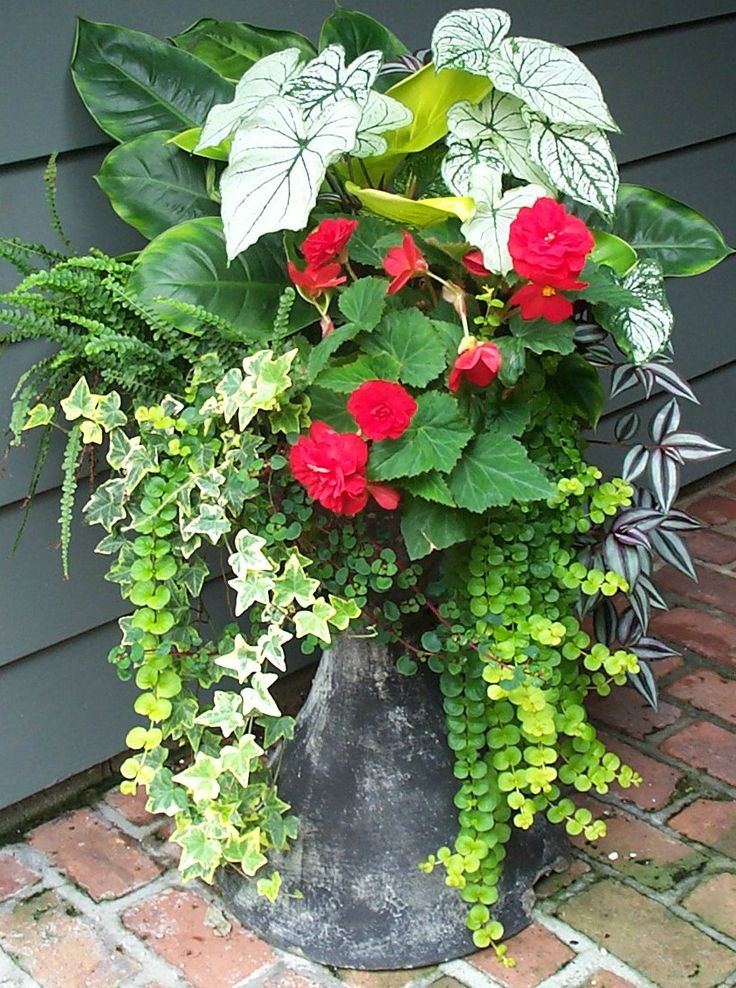 Ideas Garden Plant Pots