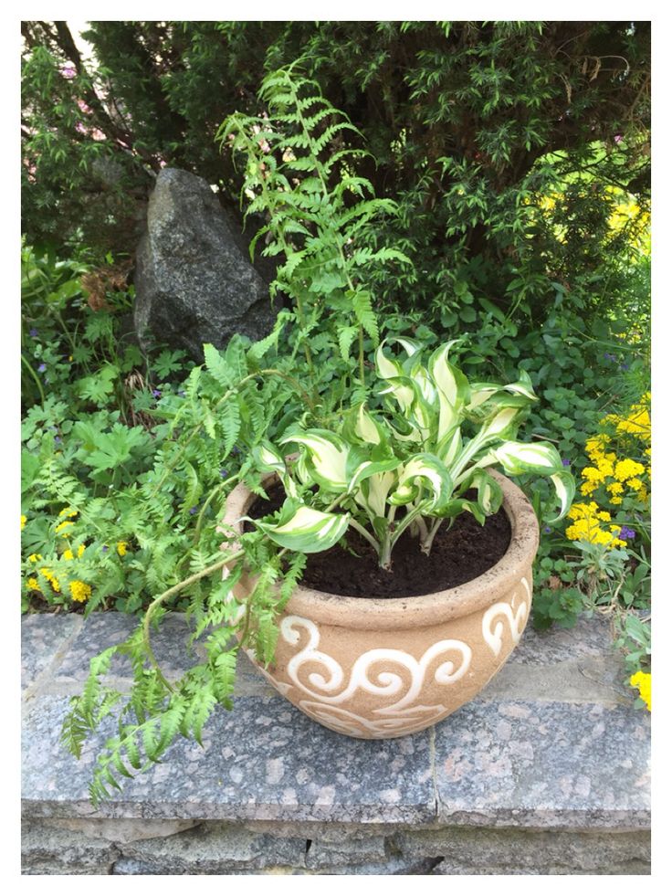 Ideas Garden Plant Pots