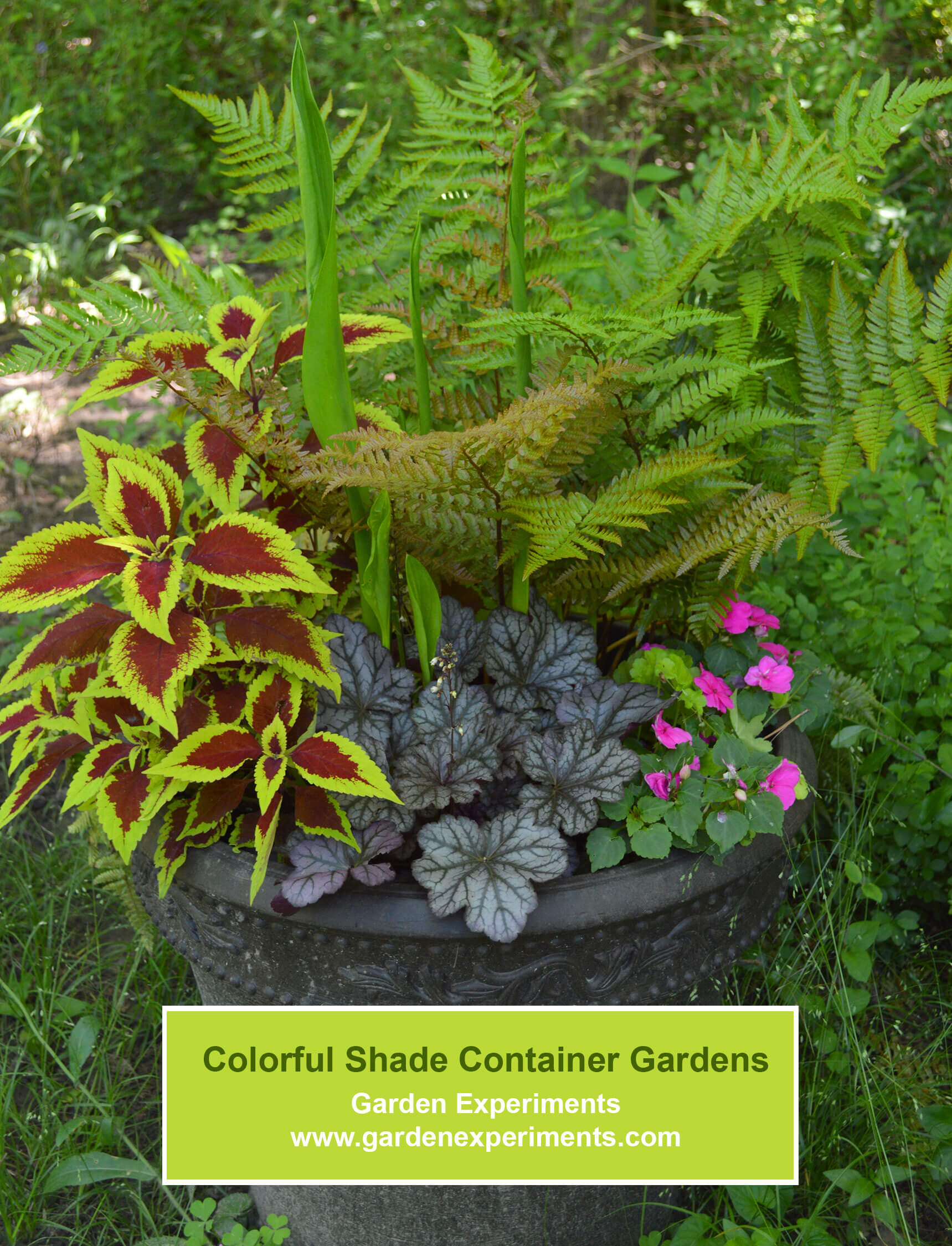 Best Summer Container Garden Ideas