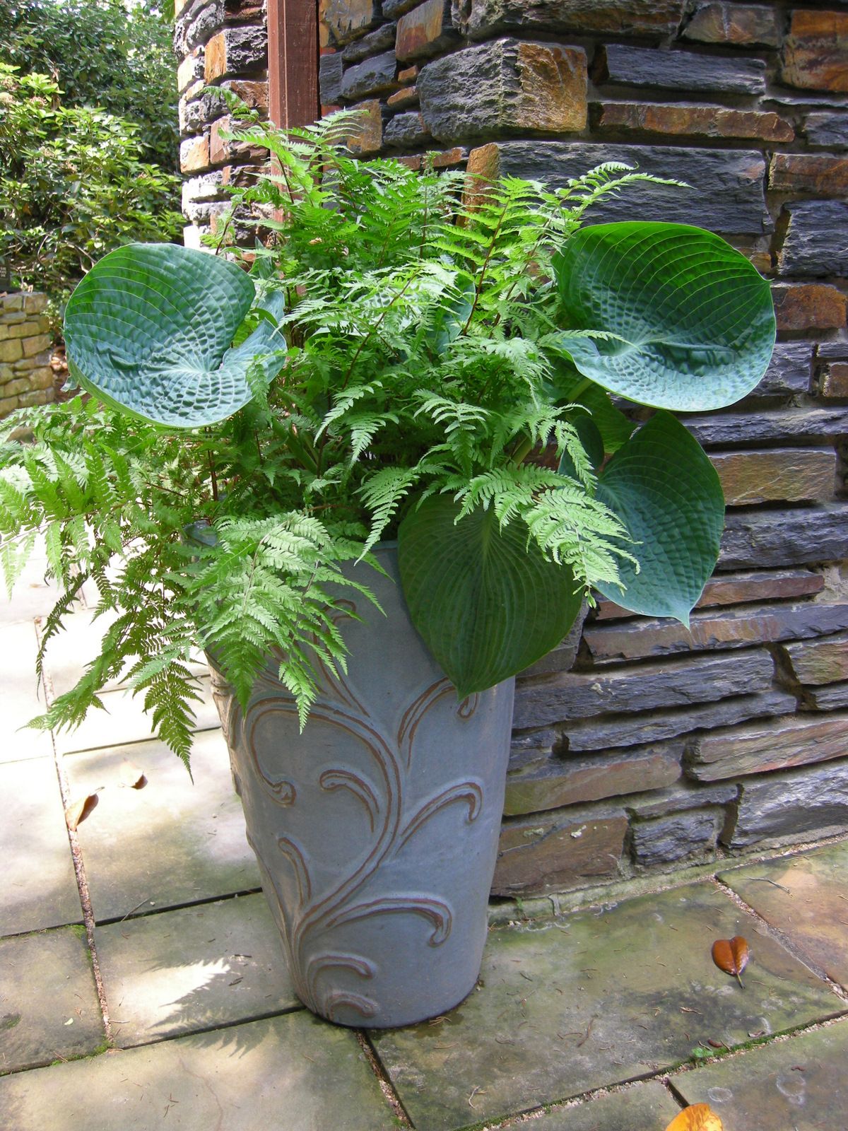 Gardening Gardening Viral