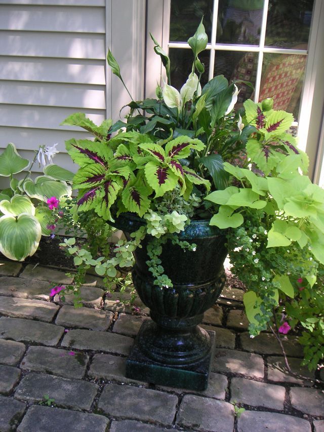 Shade Planter
