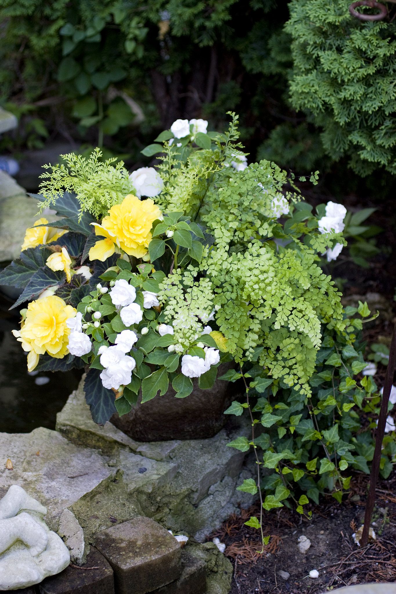 Simple But Elegant Container Planting