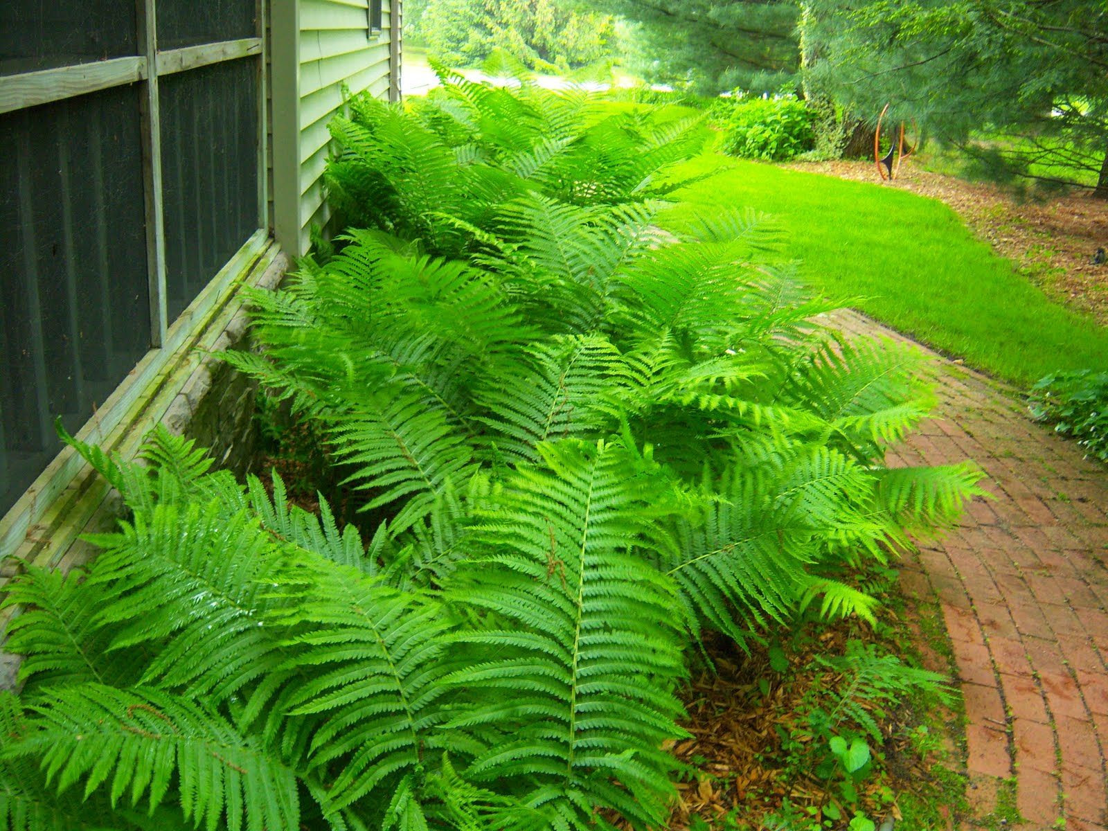 Gasper Landscape Design
