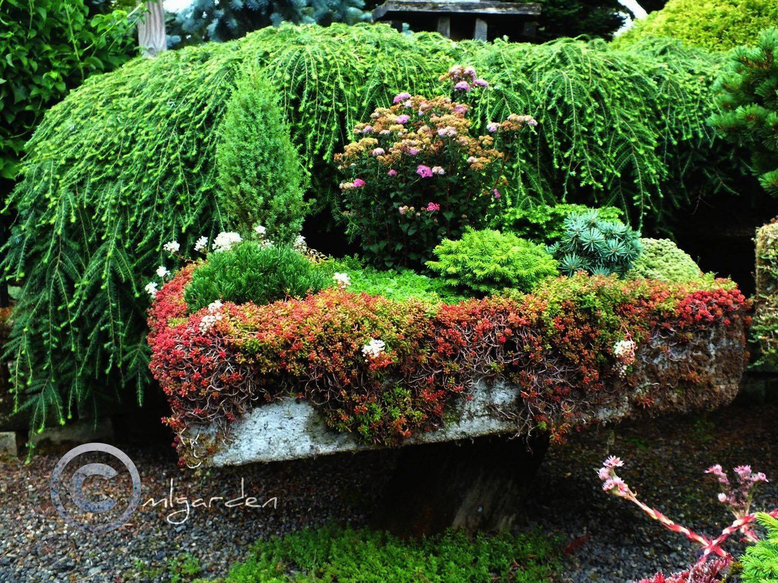 Perennial Garden