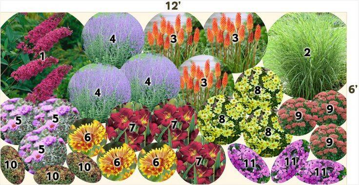 Zone Perennial Garden Plans