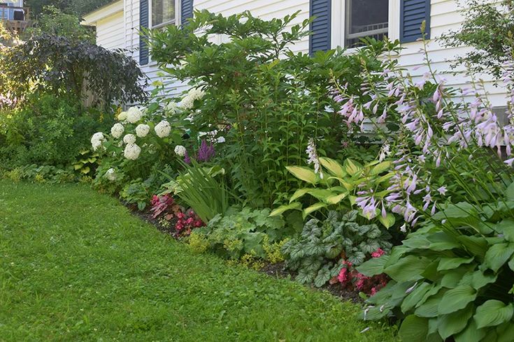 Shade Garden Ideas Zone