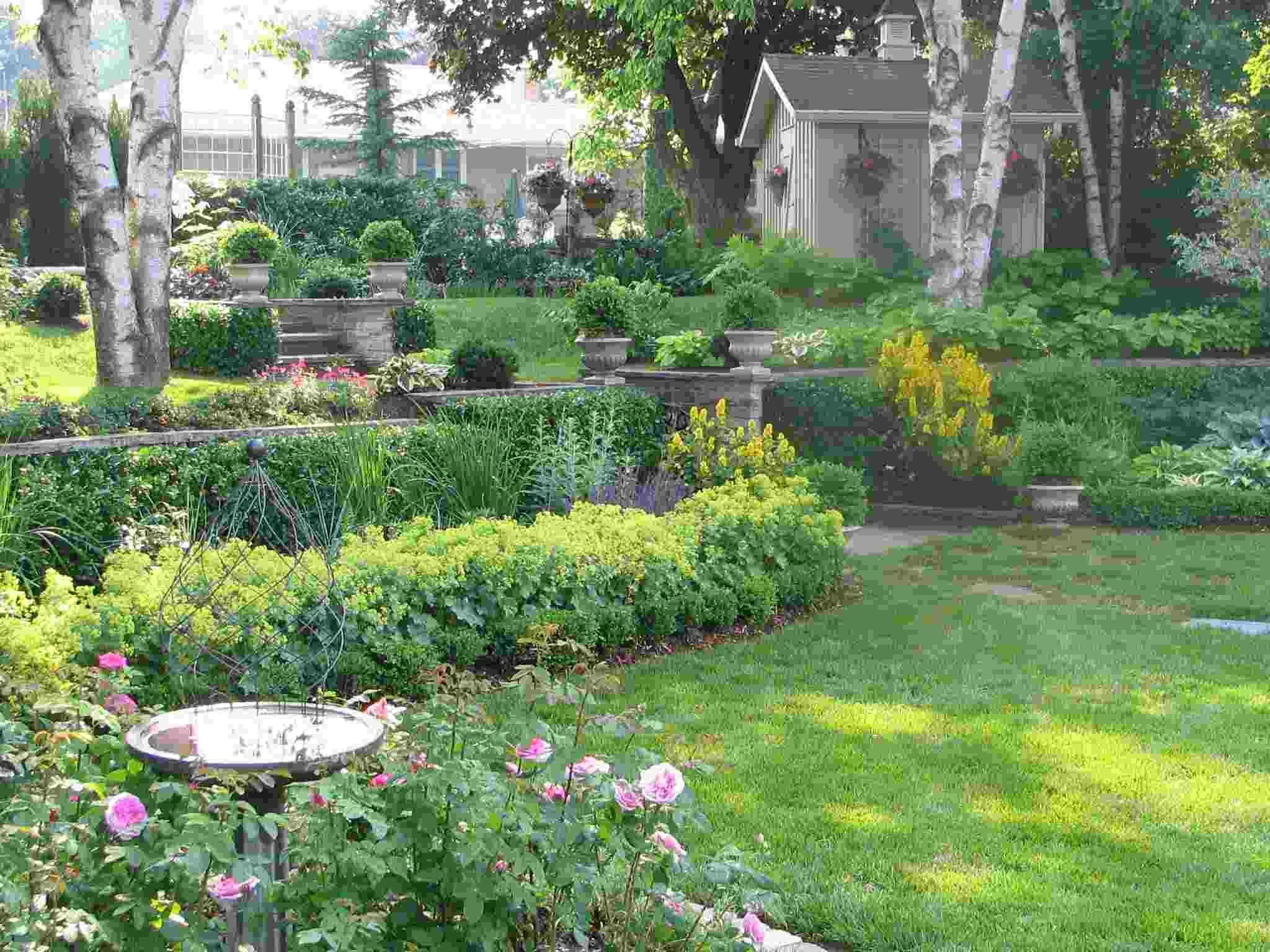 Shade Lowing Low Perennial Flowers Design Ideas