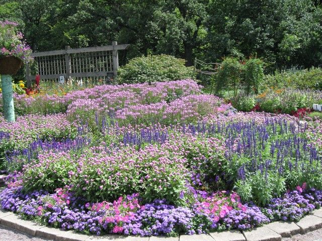 Zone Perennial Garden Layout Garden Layout