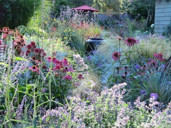 Perennial Garden