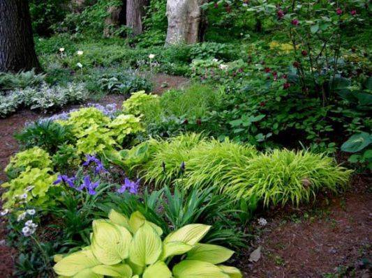 Pics Perennial Garden Designs