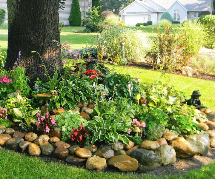 Shade Garden Design Ideas